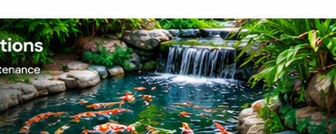 Koi pond