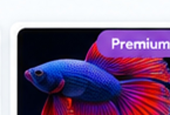 Premium Betta