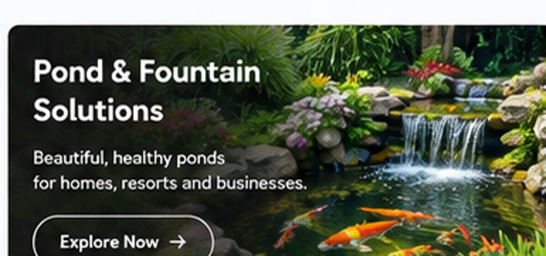 Koi Pond Consultation