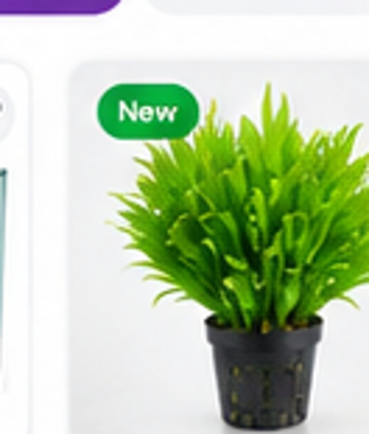 Premium Tissue Culture Pack