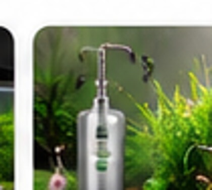 Aquascaping