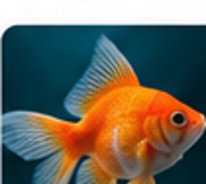 Live Fish