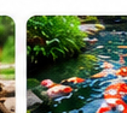 Pond & Fountain